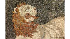 bg5
