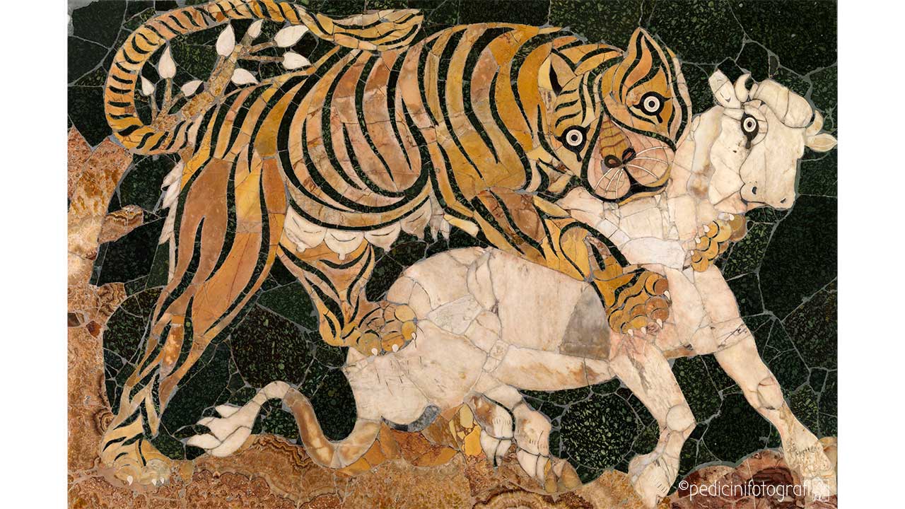 bg7