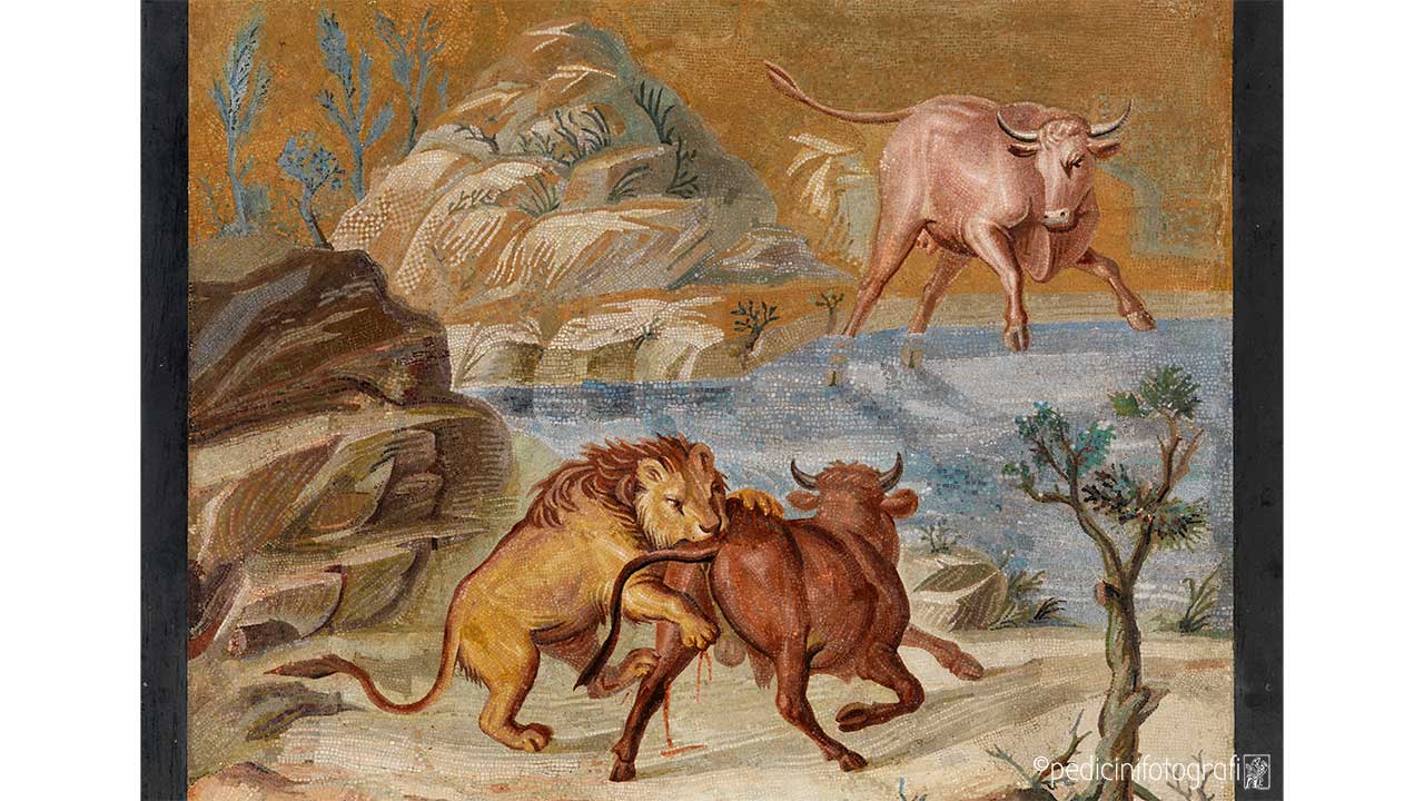 bg8