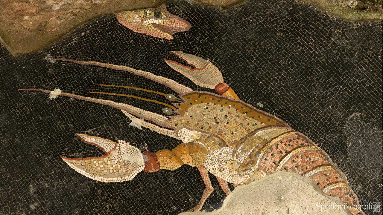 bg9