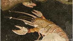 bg9
